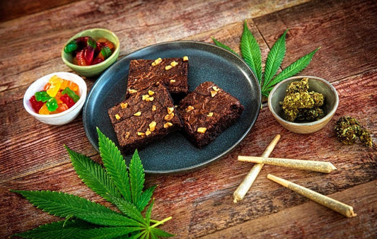 Edibles 101: A Beginner's Guide to Cannabis Edibles