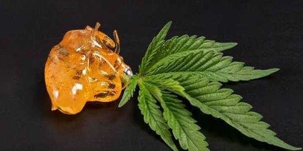 What are the Differences Between Marijuana Wax and Shatter?