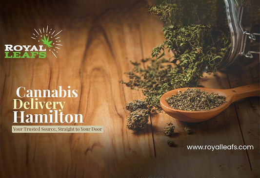 Hamilton and Waterdown See a Rise in Cannabis Delivery Use – A Detailed Insight