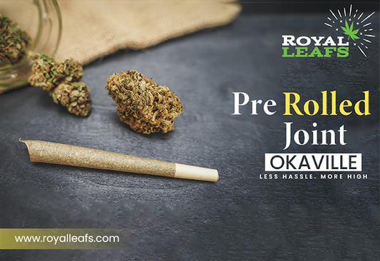 Where to Buy Pre-Rolled Joints in Oakville With Reliable Options?