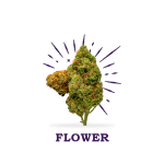 buy cannabis flowers in Hamilton